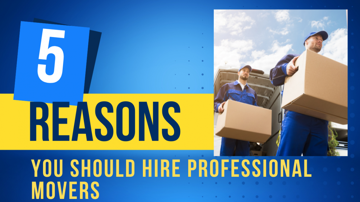 Why You Should Hire Professional Movers? – Zazira Movers